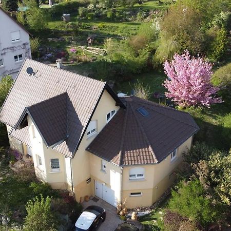 Chez Olivier Et Josette Sur Mulhouse Sud Διαμέρισμα Illfurth Εξωτερικό φωτογραφία