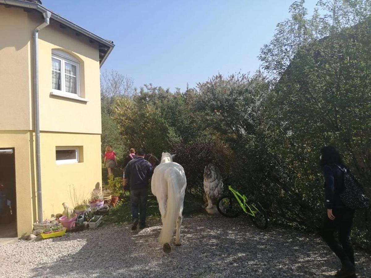 Chez Olivier Et Josette Sur Mulhouse Sud Διαμέρισμα Illfurth Εξωτερικό φωτογραφία