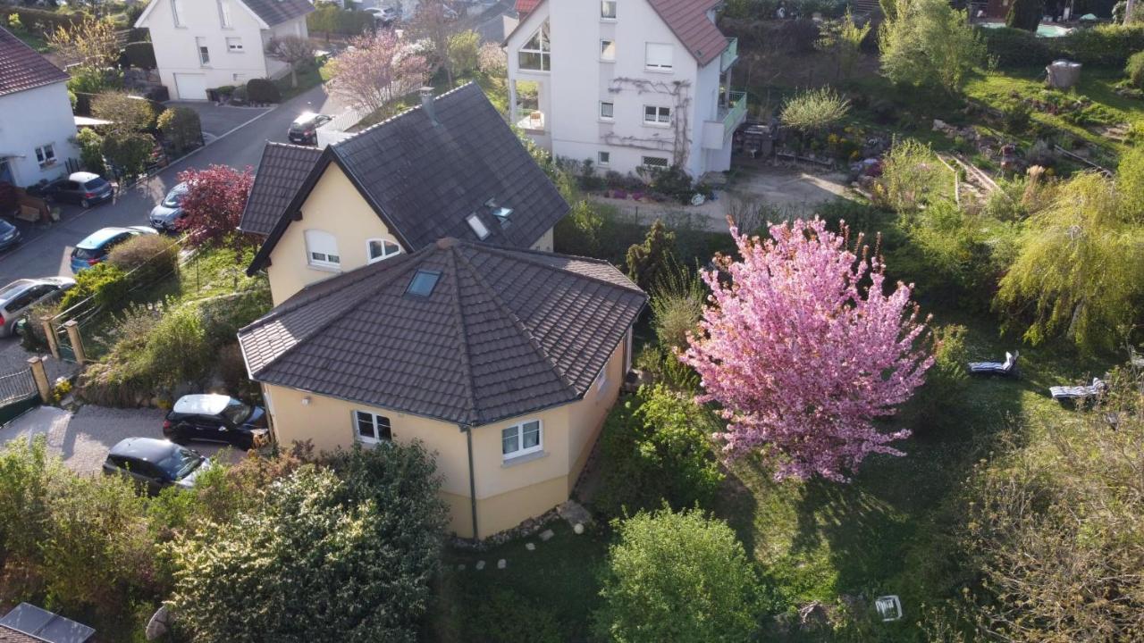 Chez Olivier Et Josette Sur Mulhouse Sud Διαμέρισμα Illfurth Εξωτερικό φωτογραφία
