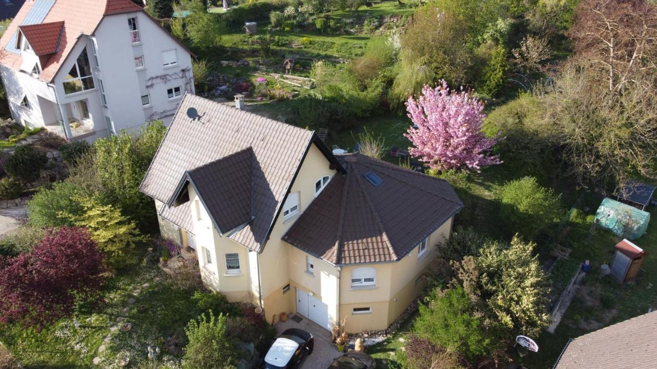 Chez Olivier Et Josette Sur Mulhouse Sud Διαμέρισμα Illfurth Εξωτερικό φωτογραφία