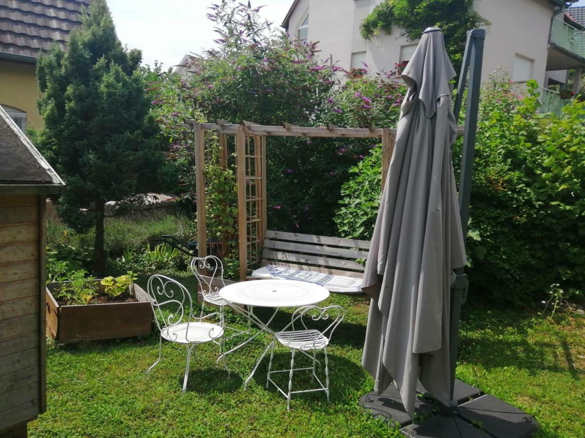 Chez Olivier Et Josette Sur Mulhouse Sud Διαμέρισμα Illfurth Εξωτερικό φωτογραφία